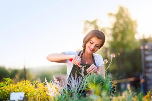 Healthy green lawn maintained by experts in Mottingham