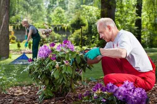 Gardening crew performing maintenance in a suburban Mottingham garden