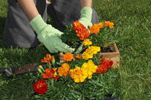 Gardener pruning shrubs in Mottingham