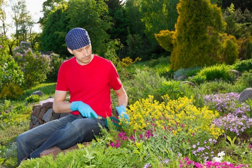 Local soil varieties in Mottingham garden