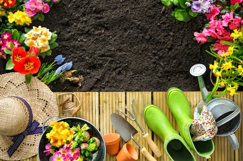 Seasonal plants in a Mottingham garden