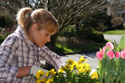 Person using a screen reader while viewing Mottingham gardening content on a tablet