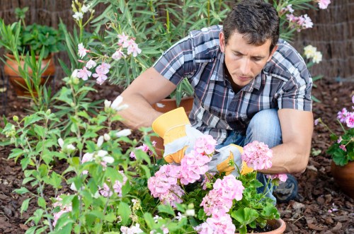Gardener inspecting a garden after work