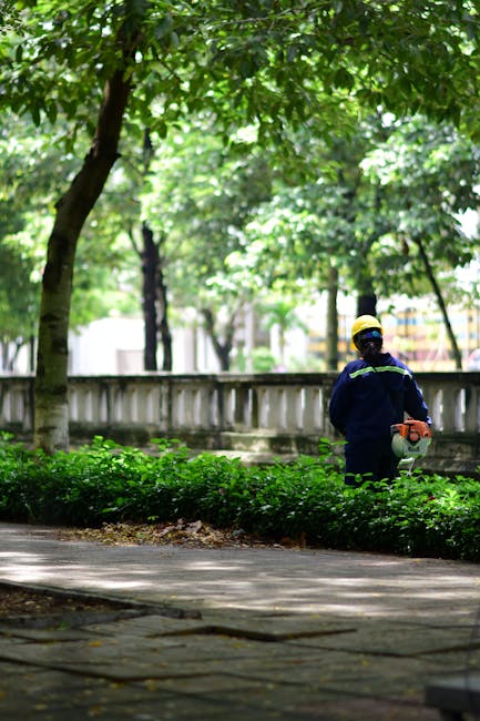 A gardener dressed in navy blue work attire and wearing a yellow safety helmet stands on a paved pathway in a well-maintained urban park. The individual holds a hedge trimmer while trimming neatly cli